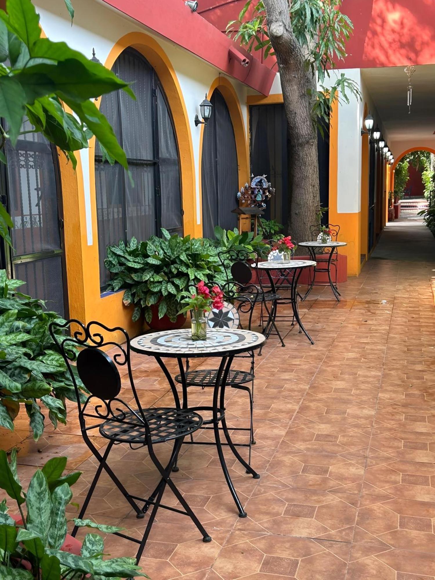 Casa Tres Colibries Bed & Breakfast Merida Ngoại thất bức ảnh